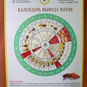 Календарь для вывода маток